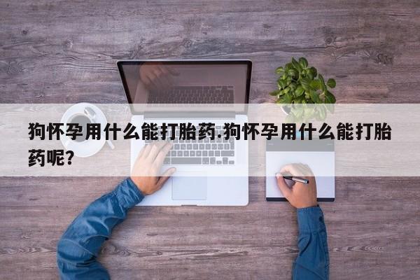 我想在网上买正品打胎药狗怀孕用什么能打胎药.狗怀孕用什么能打胎药呢？
