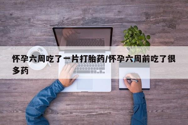 我想在网上买正品打胎药怀孕六周吃了一片打胎药/怀孕六周前吃了很多药