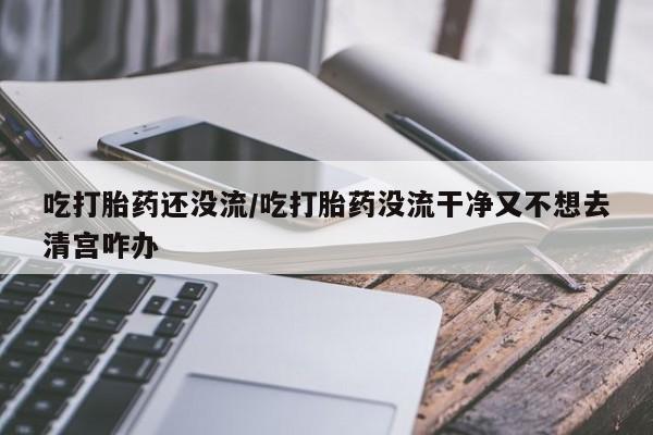 我想在网上买正品打胎药吃打胎药还没流/吃打胎药没流干净又不想去清宫咋办