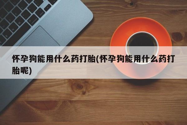 我想在网上买正品打胎药怀孕狗能用什么药打胎(怀孕狗能用什么药打胎呢)