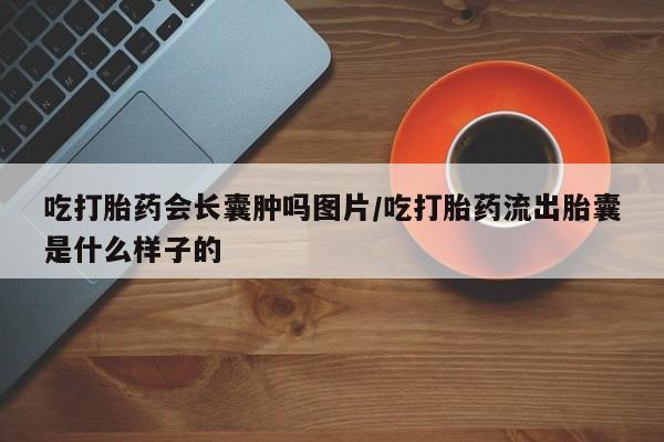 我想在网上买正品打胎药吃打胎药会长囊肿吗图片/吃打胎药流出胎囊是什么样子的